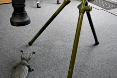 20220219-p2420108-benbo