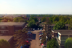 IMG_20230520_085007Z_QA_view