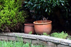 20231222-P1080086-garden-beck-lens-edited