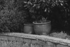20231222-P1080086-garden-beck-lens-unedited-mono