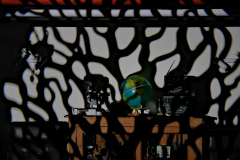 20240318-p2520210-gobo-demo