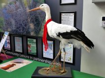2025-05-05 Storrington Stork Festival