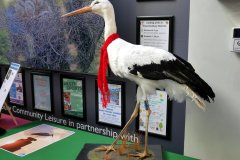 2025-05-05 Storrington Stork Festival