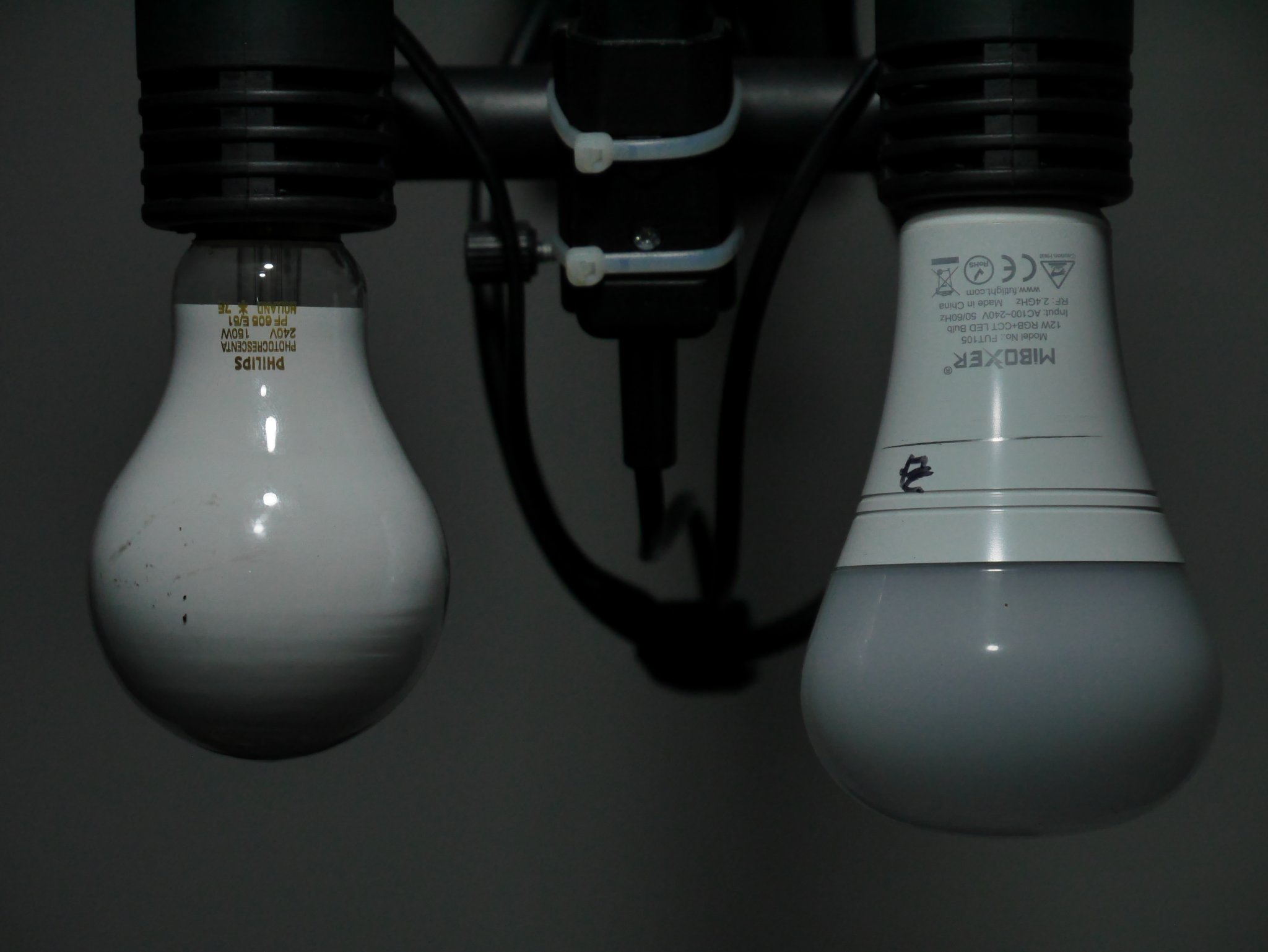 The bulbs, comparative close-up. Lit by mix of natural daylight and another Mi-Light FUT-105, set to 5600K.