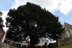 20250719-p2540649-havant-wide-angle