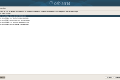 partman-auto_select_disk_0