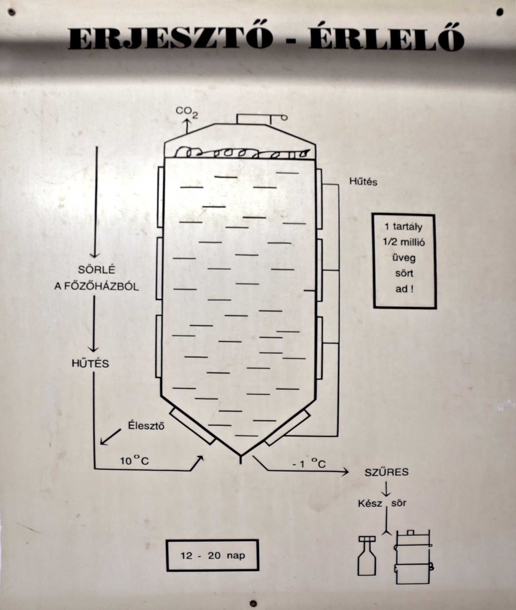 20251129-fermentation-diagram.jpg