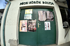 20251129-p2550815-pecs-brewery.jpg