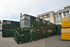 20251129-p2550851-pecs-brewery.jpg