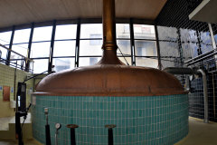 20251129-p2550868-pecs-brewery.jpg