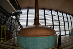 20251129-p2550872-pecs-brewery.jpg