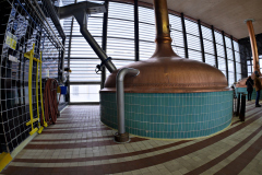 20251129-p2550879-pecs-brewery.jpg