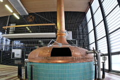 20251129-p2550891-pecs-brewery.jpg