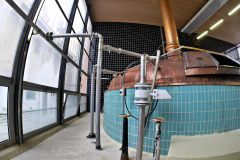 20251129-p2550901-pecs-brewery.jpg