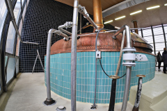 20251129-p2550903-pecs-brewery.jpg