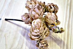 Created with GIMP