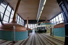 20251129-p2550979-pecs-brewery.jpg
