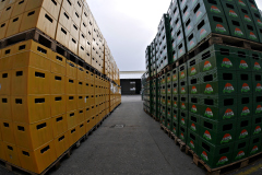 20251129-p2550986-pecs-brewery.jpg