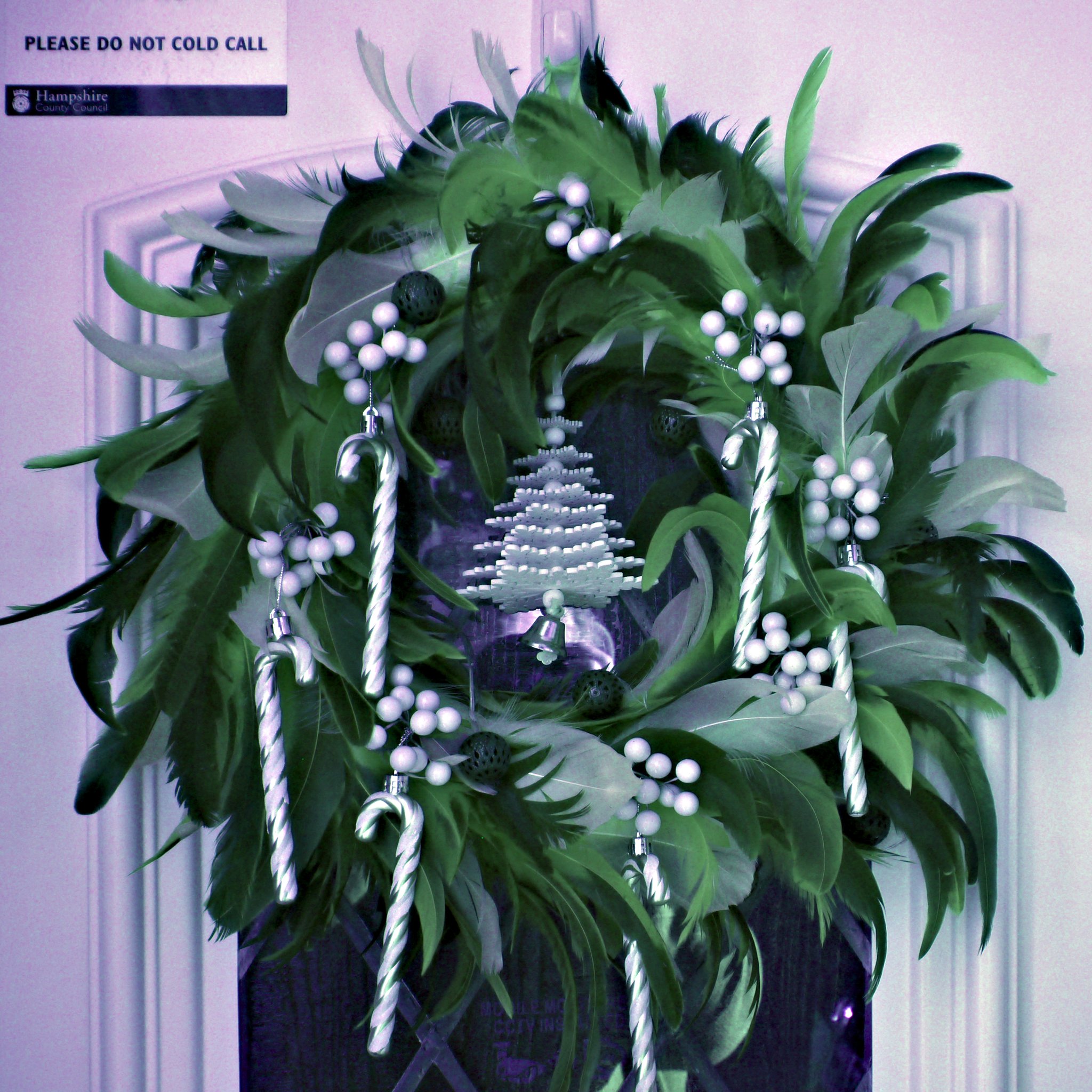 20251224-p1150122-ir-test.jpg