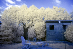 Our back yard, taken with "full-spectrum-converted" Lumix DMC GH2, c/w a bog-standard Lumix 14-42mm "kit lens" c/w Fourth Eye variable IR filter. Second stage of editing: Rotating palette in GIMP's Hue and Saturation tool.