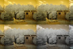 20251226-p115031x-ir-seqence-txt-1-horizontal.jpg