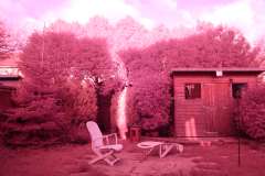 Our back yard, taken with "full-spectrum-converted" Lumix DMC GH2, c/w a bog-standard Lumix 14-42mm "kit lens". Fourth Eye variable IR filter removed. Camera white balance sent to Auto.