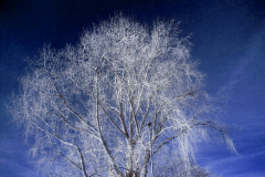 Created with GIMP ©2025 Garf Technology