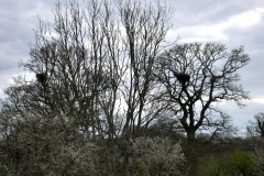 Created with GIMP