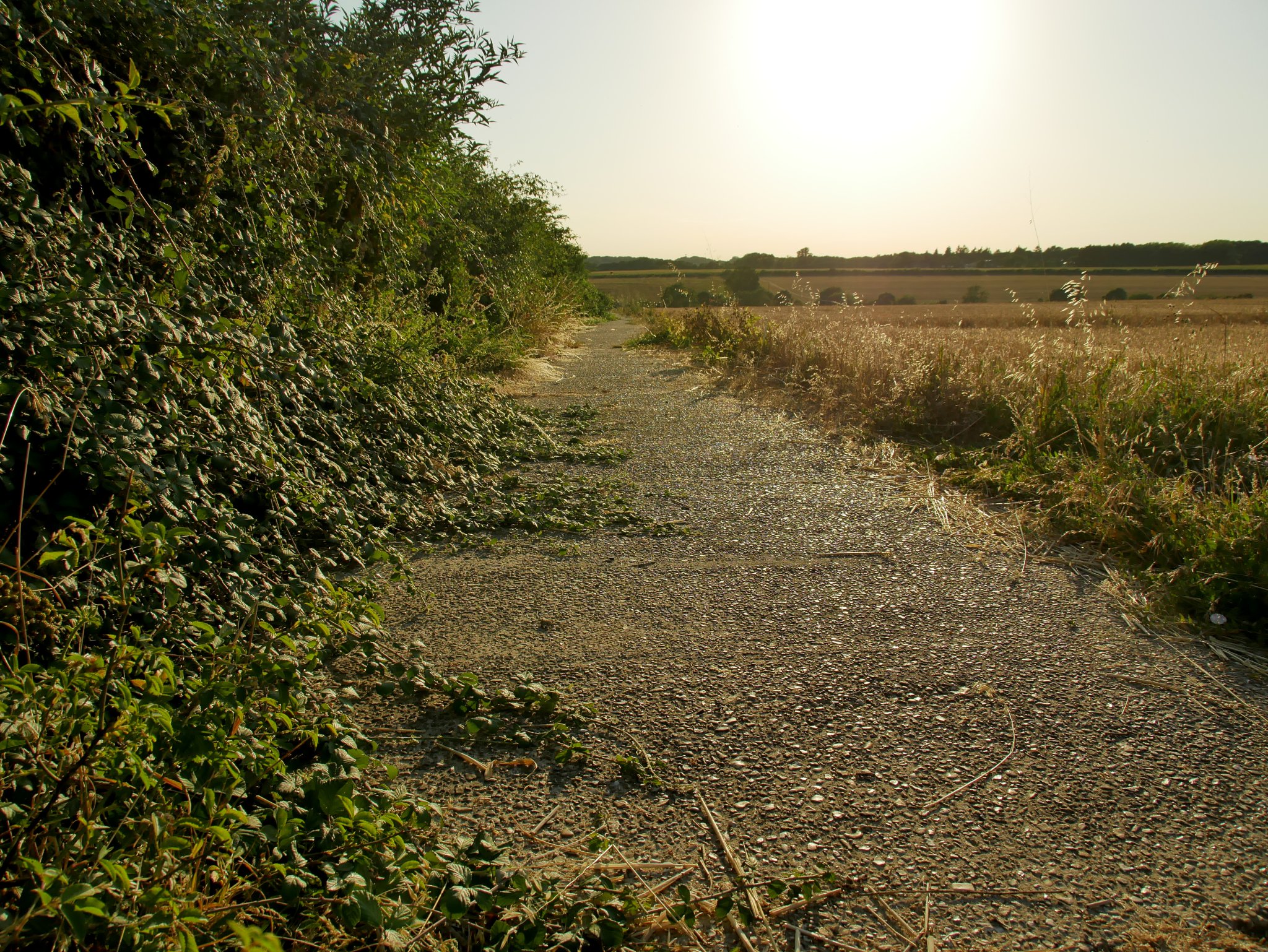 2026-08-12 Western edge of Portsdown Hill, near Fareham, looking approximately west-north-west