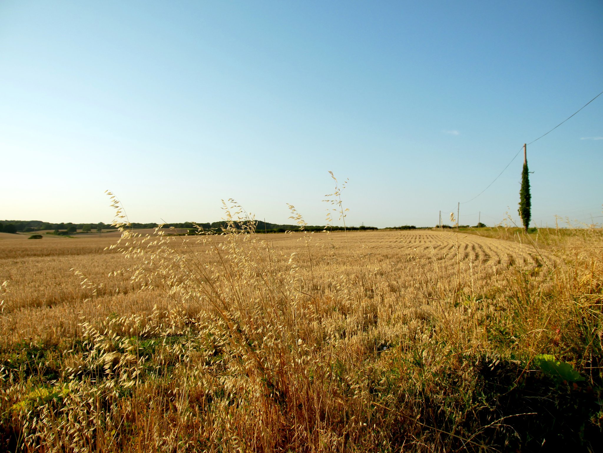 2026-08-12 Western edge of Portsdown Hill, near Fareham, looking approximately west-north-west
