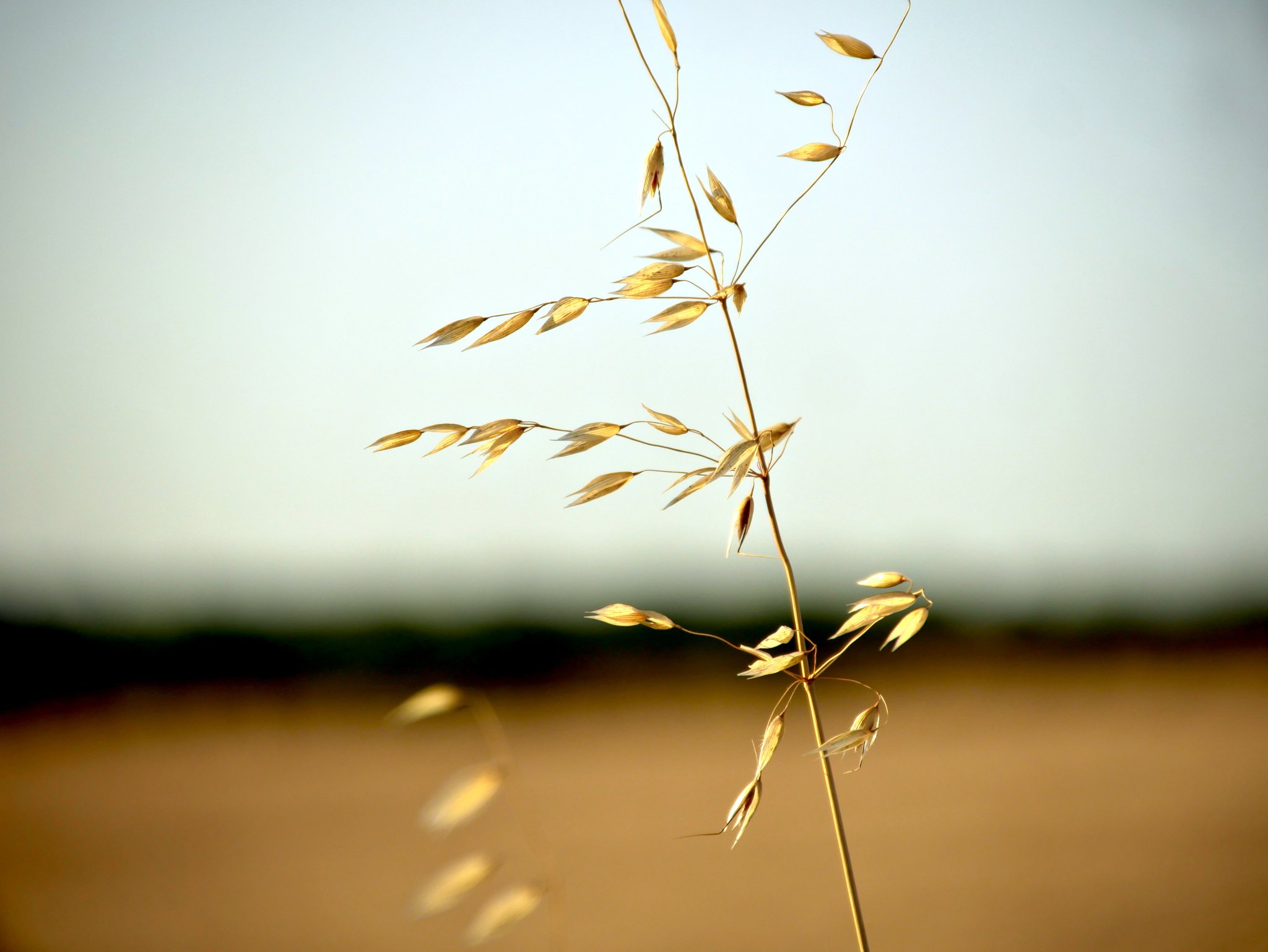 2026-08-12 Western edge of Portsdown Hill, near Fareham, looking approximately west-north-west