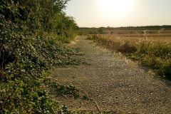 2026-08-12 Western edge of Portsdown Hill, near Fareham, looking approximately west-north-west