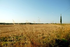 2026-08-12 Western edge of Portsdown Hill, near Fareham, looking approximately west-north-west