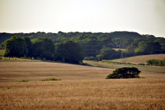 2026-08-12 Western edge of Portsdown Hill, near Fareham, looking approximately west-north-west
