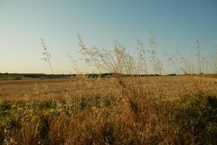 2026-08-12 Western edge of Portsdown Hill, near Fareham, looking approximately west-north-west