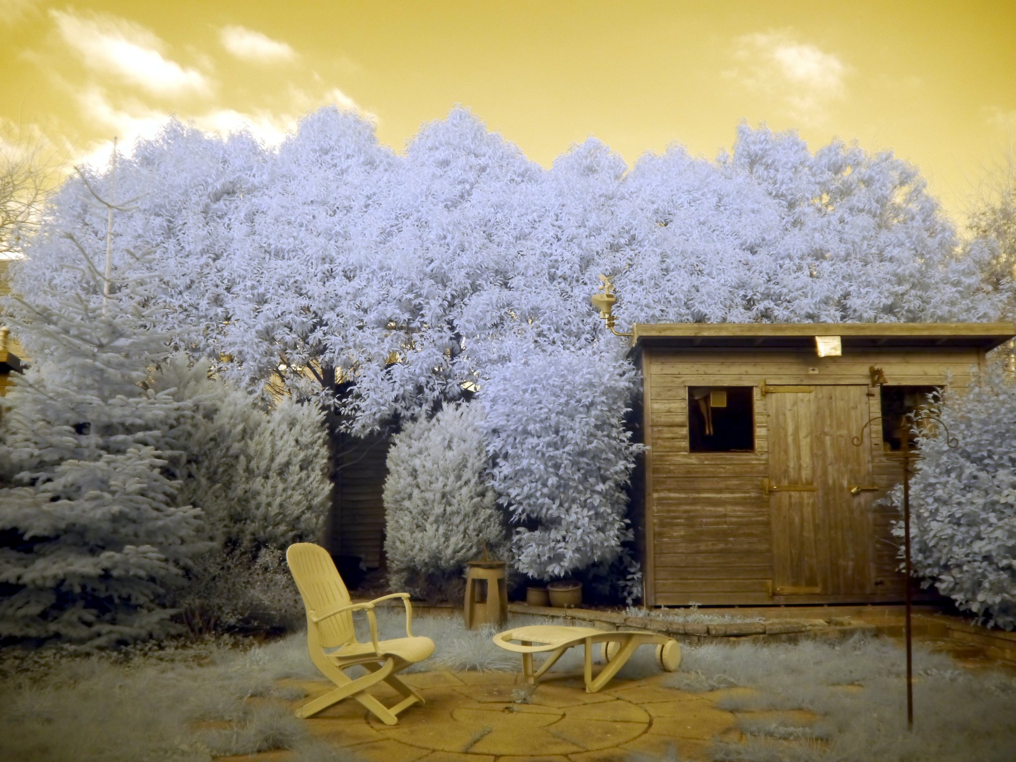 Our back yard, taken with "full-spectrum-converted" Lumix DMC GH2, c/w a bog-standard Lumix 14-42mm "kit lens" c/w Fourth Eye variable IR filter. First stage of editing: GIMP's simple White Balance tool.