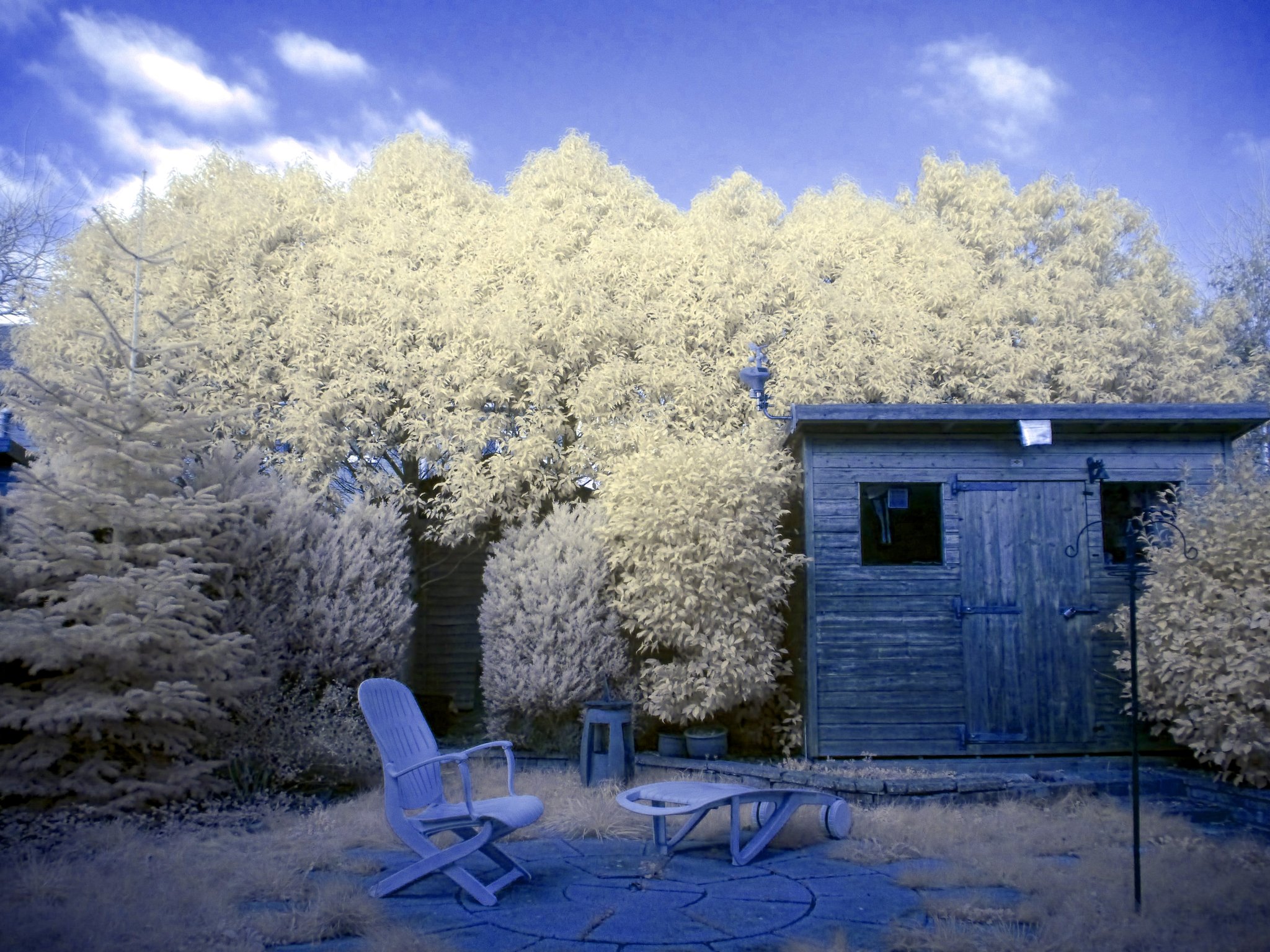 Our back yard, taken with "full-spectrum-converted" Lumix DMC GH2, c/w a bog-standard Lumix 14-42mm "kit lens" c/w Fourth Eye variable IR filter. Second stage of editing: Rotating palette in GIMP's Hue and Saturation tool.