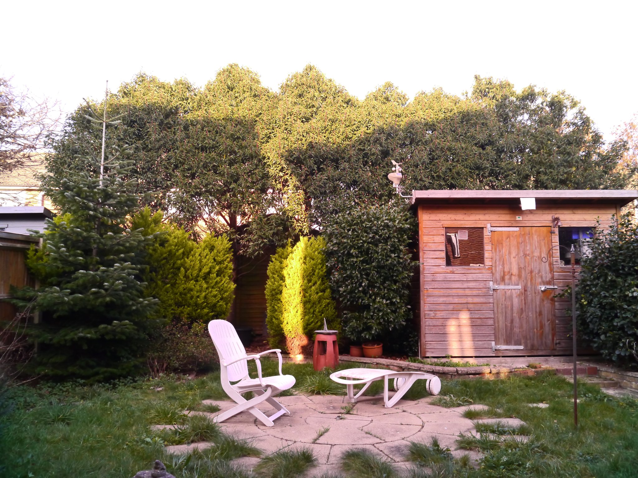 Our back yard, taken with "full-spectrum-converted" Lumix DMC GH2, c/w a bog-standard Lumix 14-42mm "kit lens". Fourth Eye variable IR filter removed and replaced with Fotga UV+IR blocking filter. Camera white balance sent to Auto.