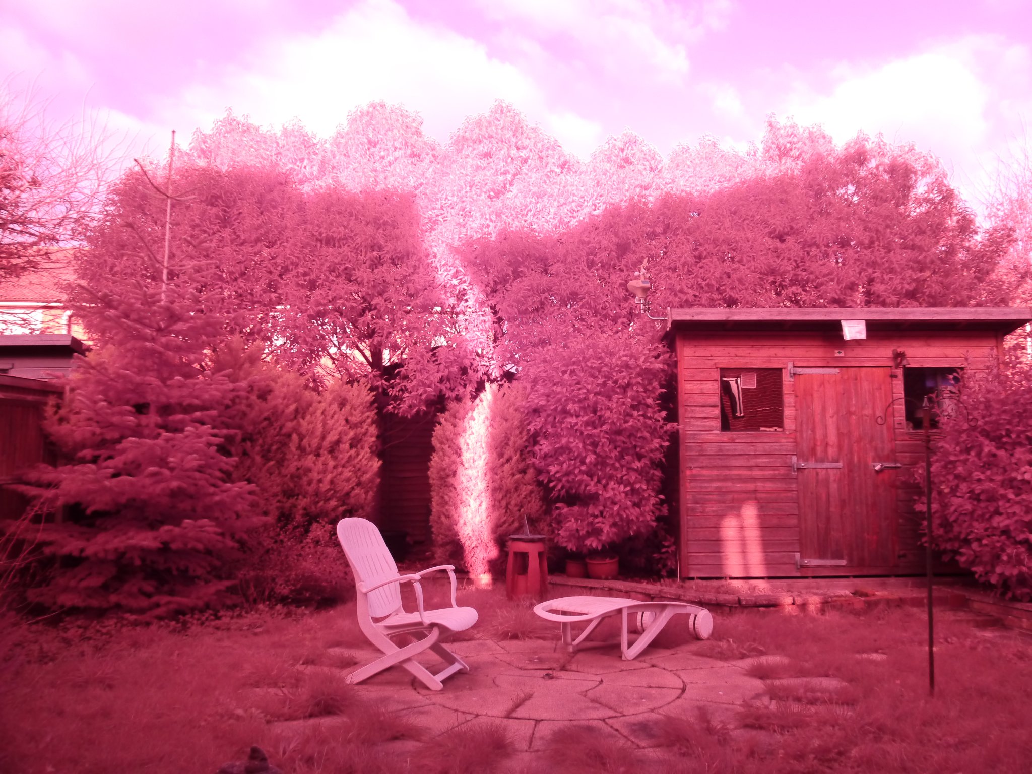 Our back yard, taken with "full-spectrum-converted" Lumix DMC GH2, c/w a bog-standard Lumix 14-42mm "kit lens". Fourth Eye variable IR filter removed. Camera white balance sent to Auto.