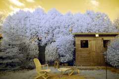 Our back yard, taken with \"full-spectrum-converted\" Lumix DMC GH2, c/w a bog-standard Lumix 14-42mm \"kit lens\" c/w Fourth Eye variable IR filter. First stage of editing: GIMP\'s simple White Balance tool.