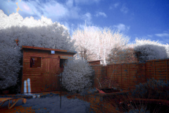 Our back yard, taken with \"full-spectrum-converted\" Lumix DMC GH2, c/w a bog-standard Lumix 14-42mm \"kit lens\" c/w Fourth Eye variable IR filter.