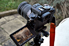 Elderly "full-spectrum-converted" Lumix DMC GH2, c/w a bog-standard Lumix 14-42mm "kit lens" c/w step-up ring and 58mm Fourth Eye variable IR filter, mounted on a 30 year-old British Benbo Trekker tripod, with an "Arca Chinese" quick release.