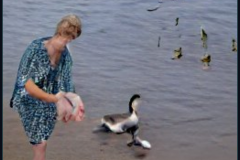 craiyon_001432_Angel_feeding_a_hungry_goose_br_