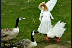 craiyon_001908_Kind_angel_feeds_a_hungry_goose_br_