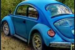 craiyon_235927_Jeremy_Clarkson_crashes_blue_Volkswagen_Beetle_br_