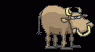 bsbullf