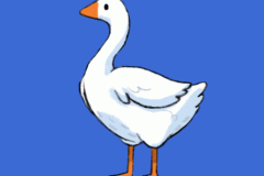 goose-honk-01