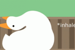 goose-honk-loud