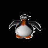 penguin-02