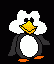 penguin-05
